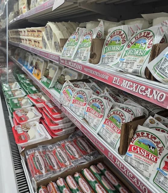 Assortment of traditional Mexican cheeses