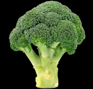 Broccoli