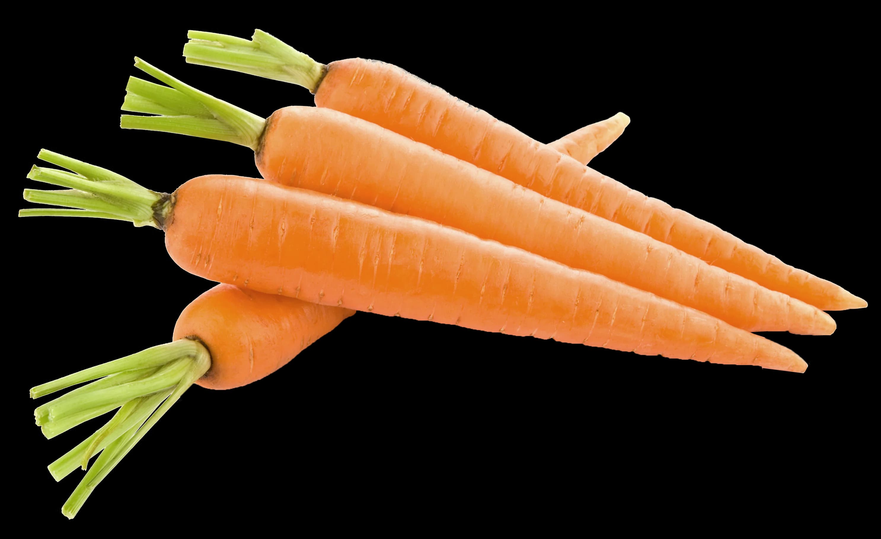 Carrots 1LB Bag