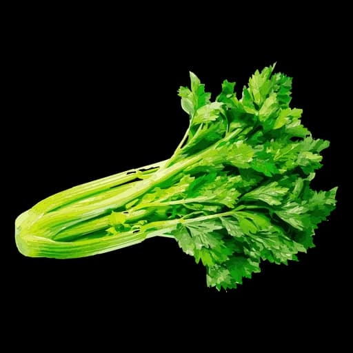 Celery