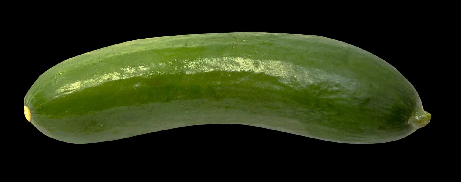 Cucumber