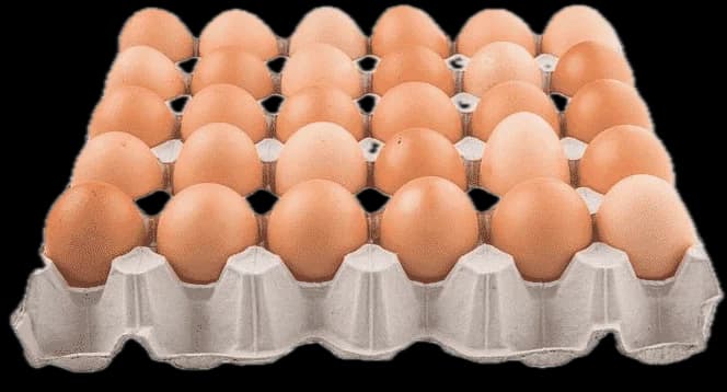 Eggs 60ct