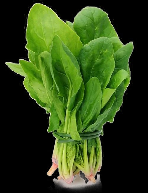 Espinaca
