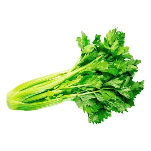 Celery