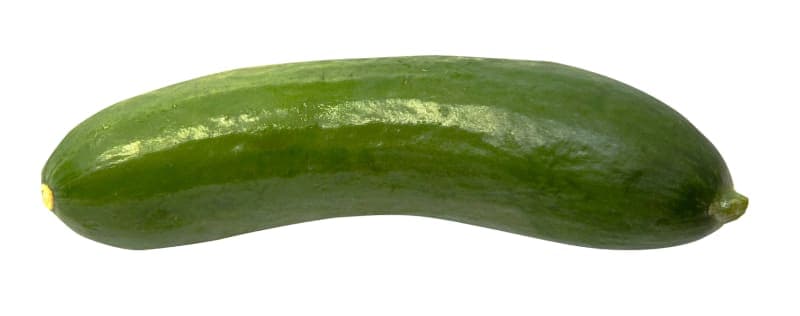 Cucumber