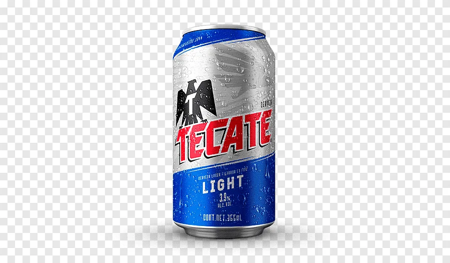 Tecate 12 Pack